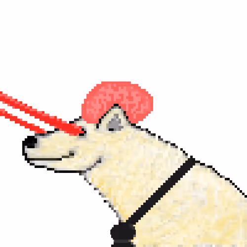 Icebearz