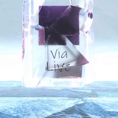 Item #384 Media