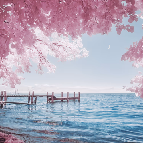 L U M I N A