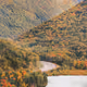 Fall Feels on Film