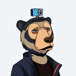 4262