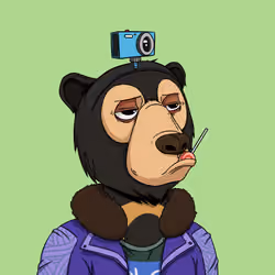Okay Bears Fam #7980