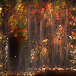 Autumnal Pyre