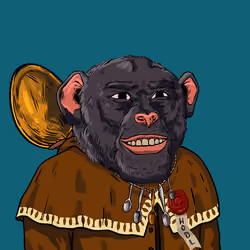 Concave D`Ape #339