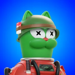 Cat #232