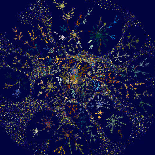 Intertwined World by O Bodini