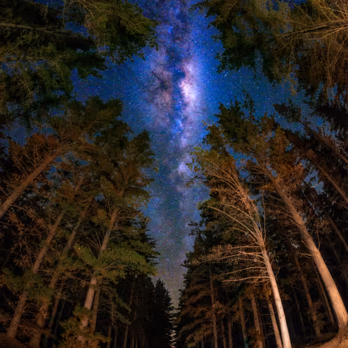 Imagine - WCaINeccOW