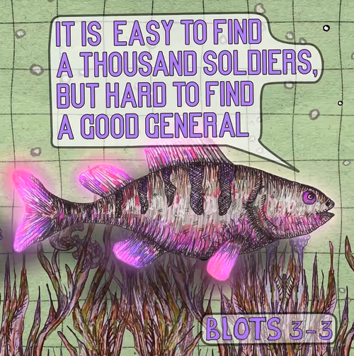 Item #1053900000039 Media