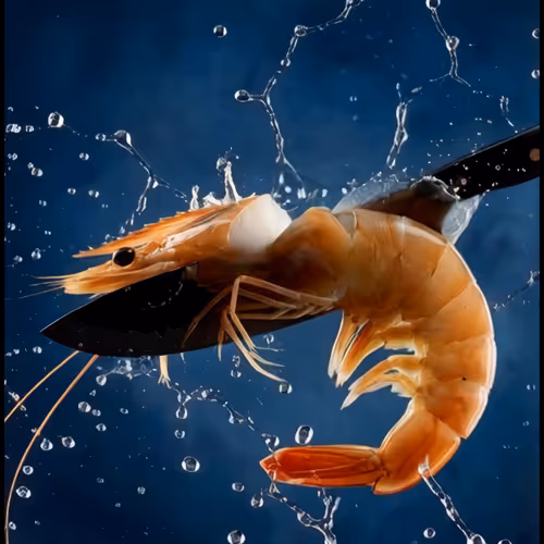 CHOP CHOPS - Listed on TransientLabs