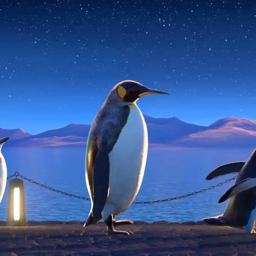 Five Penguins #2352