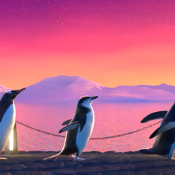 Five Penguins #1515