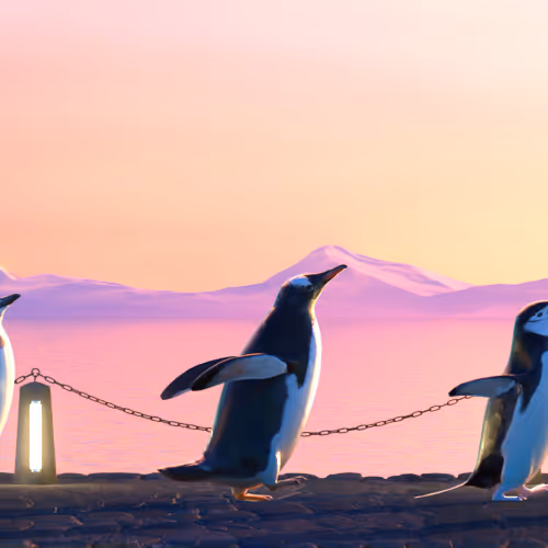 Fivepenguins