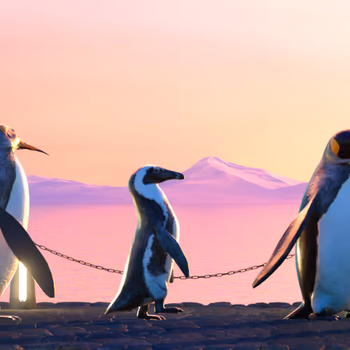 Fivepenguins