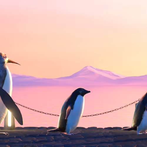 Fivepenguins