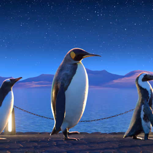 Five Penguins #2080