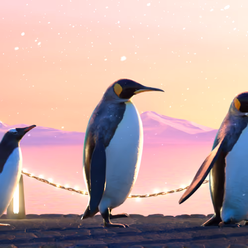 Five Penguins #1978