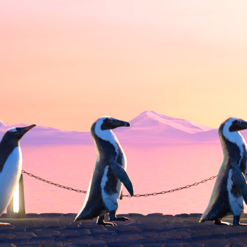 Five Penguins #1647