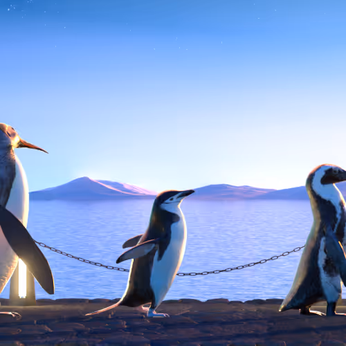 Fivepenguins