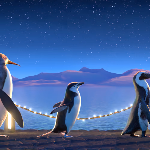 Five Penguins #488