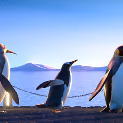 Five Penguins #2884