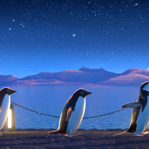 Five Penguins #2721