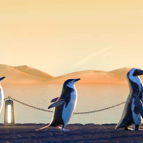Fivepenguins