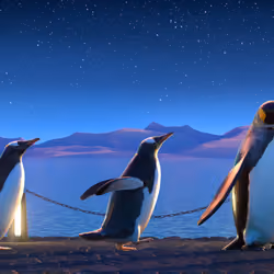 Five Penguins #2642