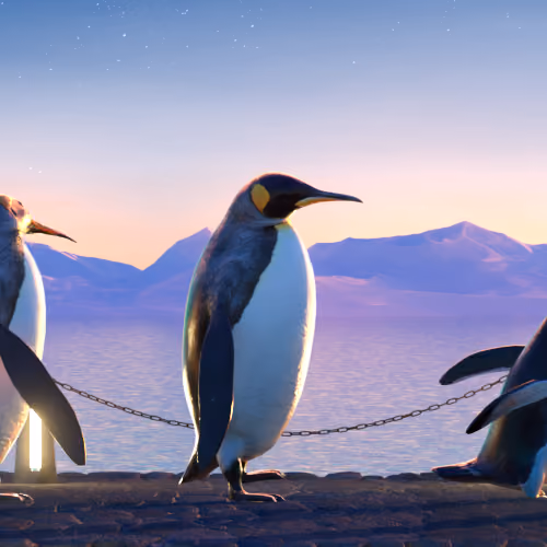 Five Penguins #1537