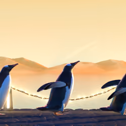Five Penguins #235