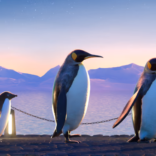 Five Penguins #2014