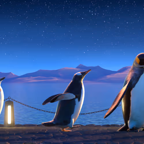 Fivepenguins