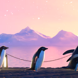 Five Penguins #692