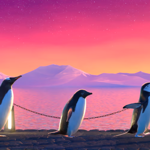 Five Penguins #2698