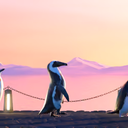 Five Penguins #617