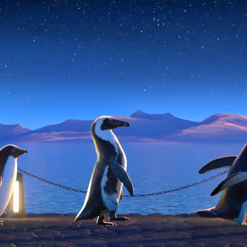 Fivepenguins