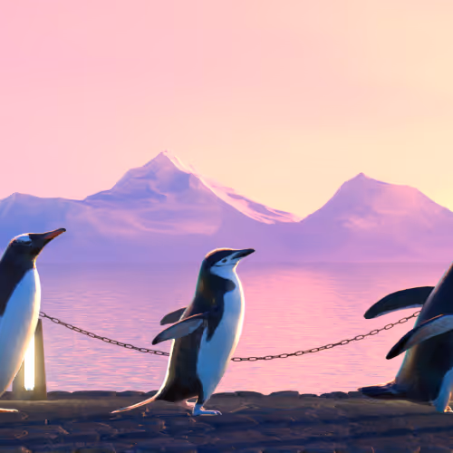 Fivepenguins
