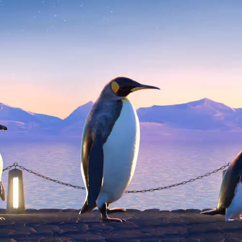 Fivepenguins