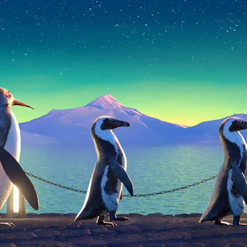 Five Penguins #2112