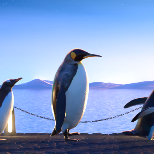 Five Penguins #1269