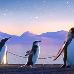 Five Penguins #2726