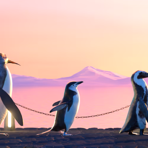 Five Penguins #1132