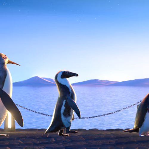 Five Penguins #1434