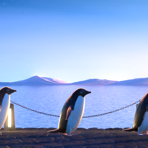Five Penguins #2853