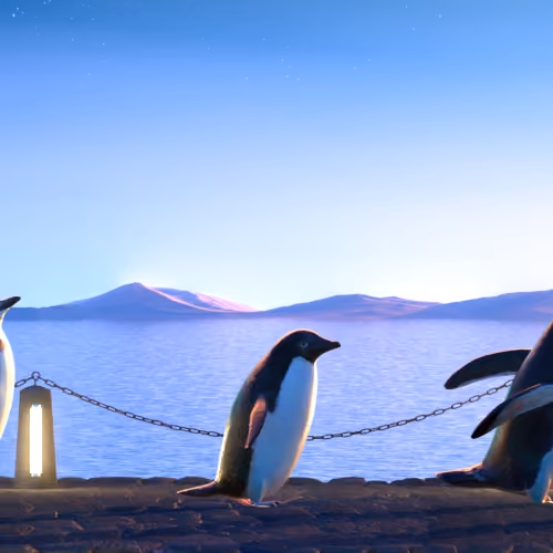 Five Penguins #894