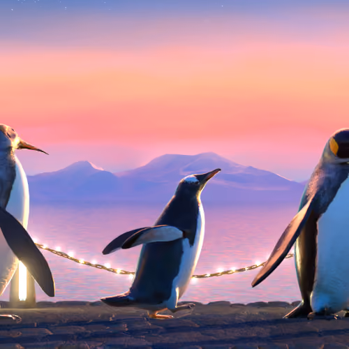 Five Penguins #2406