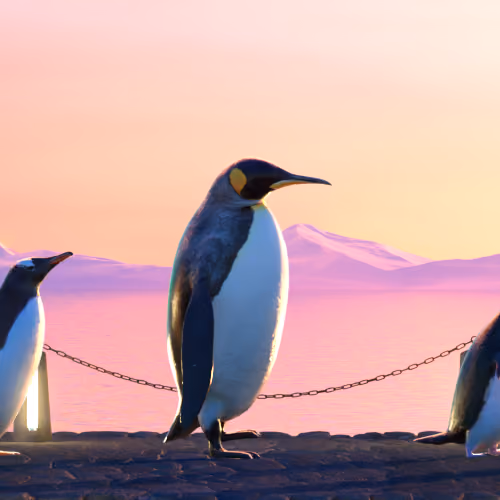 Five Penguins #2547