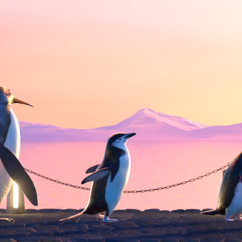 Five Penguins #586