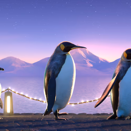 Five Penguins #2238