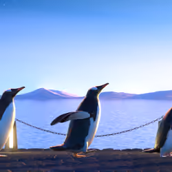 Five Penguins #2212