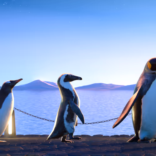 Fivepenguins